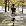 Debussy, Varese, Dutilleux, Jolivet, Messiaen, Dusapin: French Works for Flute