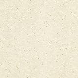 国産壁紙(クロス) 糊なし 東リ POWER(2012-2015) 和調 WVP7595【1m単位切売】