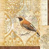 Bird Collage Study II Art Poster Print by Katie Pertiet, 12×12