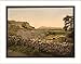 Amphitheatre of Tusculum Rome Italy, c. 1890s, (L) Library Image
