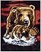 Artist Steven Michael Gardner Find 8 Brown Bears Blanket Mink Plush Queen Size - Signature Collection - (One Size 79 x 95)