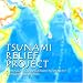 Tsunami Relief Project