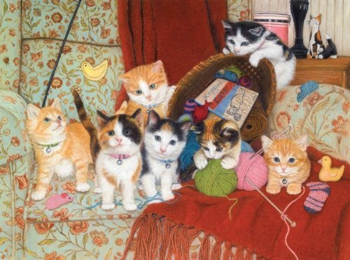 MINI - Knitting for Cats