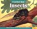 I Can Read About Insects