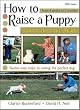 How to Raise a Puppy You Can Live With: DVD