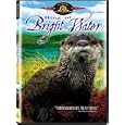 Ring Of Bright Water