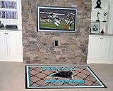 Carolina Panthers Area Rugs