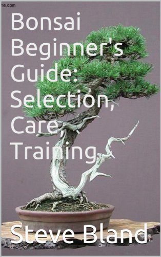Bonsai Beginner's Guide: Selection, Care, Training