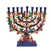 Hand Painted Pomegranate Tree Laser Cut Metal Hanukkah Menorah -by Yair Emanuel