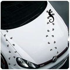 Gecko Autoaufkleber Aufkleber FARBE frei w�hlbar! Set:1