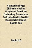 Companion Dogs: Chihuahua, Italian Greyhound, American Eskimo Dog, Pomeranian, Yorkshire Terrier, Cavalier King Charles Spaniel, Poodl-