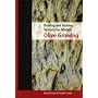 Pruning and Training Systems for Modern Olive Growing