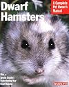 Dwarf Hamsters