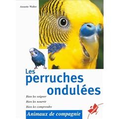 Les perruches ondulees
