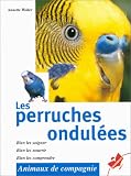 Les perruches ondulees