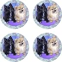 Set of Four Pomeranian Ambiance Coasters - Style vpa13