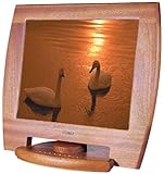 NCbNT XV1-19AV-SP1(Sapele Wood)