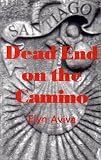  : Dead End on the Camino: A Noa Webster Mystery