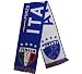 Fanschal Schal Fußball Italien Italy Italia EM 2012 Scarf Sciarpa Football