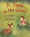 A Fawn in the Grass