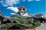 1000ピース 高知城 1000-430