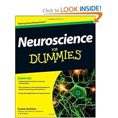 Neuroscience For Dummies (For Dummies (Math & Science)) by Frank Amthor
