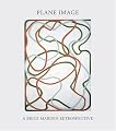 Plane Image: A Brice Marden Retrospective