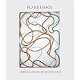 Plane Image: A Brice Marden Retrospective