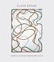 Plane Image: A Brice Marden Retrospective