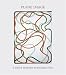 Plane Image: A Brice Marden Retrospective