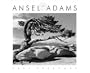 Ansel Adams 2004 Wall Calendar