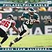 Philadelphia Eagles 2010 12x12 Team Wall Calendar