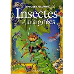 Insectes et araign�es