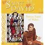 Saint David of Wales: Patron Saint of Wales (Saint (Lion Children's Book))