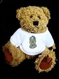 Teddy Bear mit Computer t-shirt