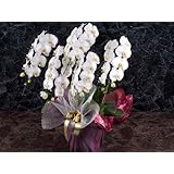 ���i�̏ڍ�