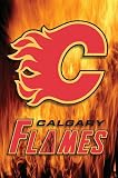 Calgary Flames (Logo) Sports Poster Print - 24