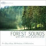 Rest & Relax Nature Sounds Artists Forest Sounds with Soft Rains & Gentle Winds: Nature Sounds for Deep Sleep, Meditation & Relaxation