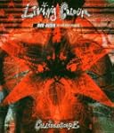 Collide0scope (DVD Audio)