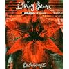 Collideoscope [DVD-AUDIO]