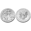 2007 W American Eagle One Ounce Silver $1 Dollar Z7F