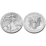 2007 W American Eagle One Ounce Silver $1 Dollar Z7F
