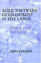 Agile Software Development in the Large: Diving Into the Deep