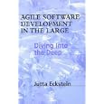 Agile Software Development in the Large: Diving Into the Deep