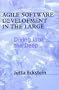 Agile Software Development in the Large: Diving Into the Deep