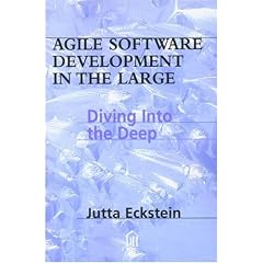 Agile Software Development in the Large: Diving Into the Deep