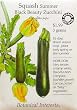 Summer Squash Black Beauty Zucchini Certified Organic Heirloom Seeds 25 Seeds
