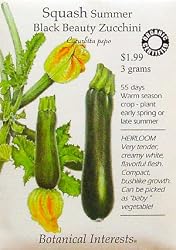 Summer Squash Black Beauty Zucchini Certified Organic Heirloom Seeds 25 Seeds