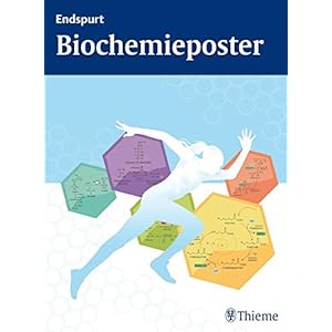 Endspurt Biochemieposter