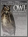 The Illustrated Owl (Barn, Barred, & Great Horned The Ultimate Reference Guide for Bird Lovers, Woodcarvers, and Artists) (The Denny Rogers Visual Reference Series) (Paperback)